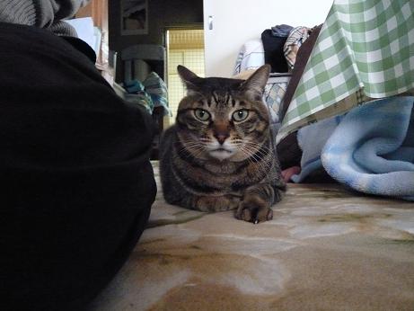 ���N���͎O���̓��I