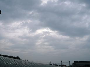 ���N���͎O���̓��I