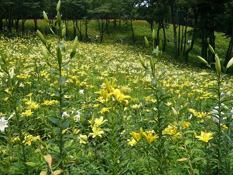 ���N���͎O���̓��I