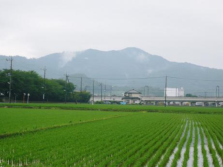 ���N���͎O���̓��I