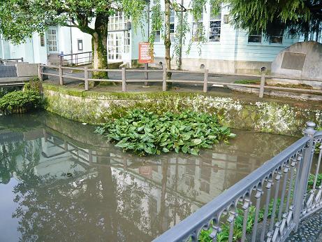 ���N���͎O���̓��I