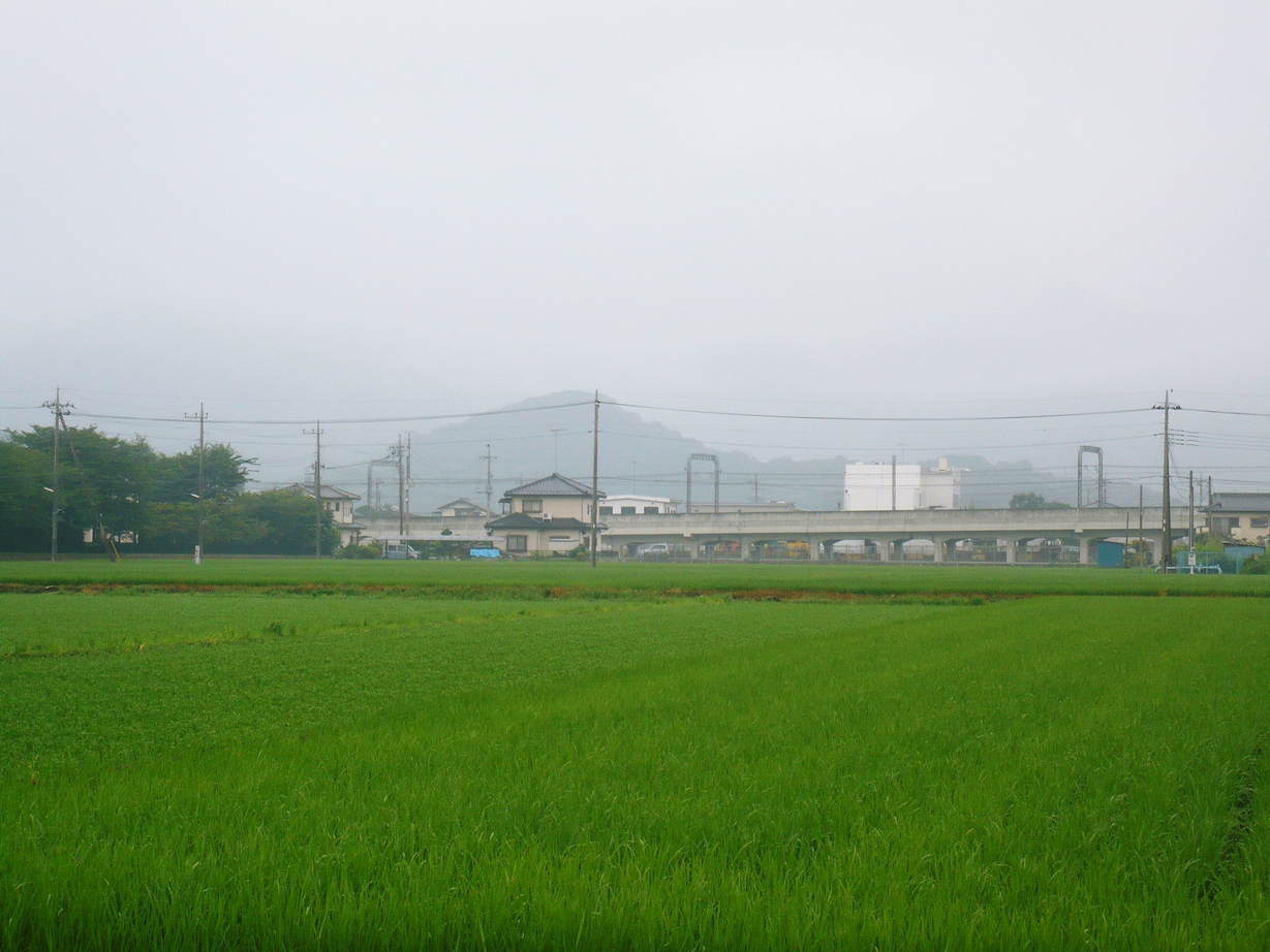 ���N���͎O���̓��I