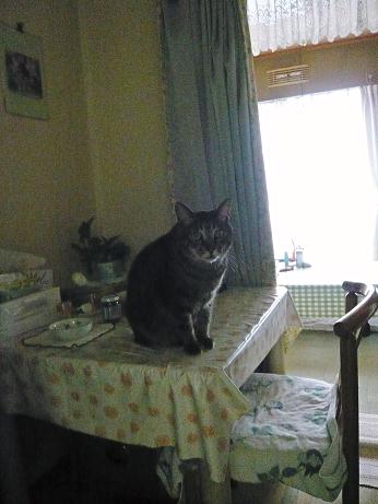 ���N���͎O���̓��I