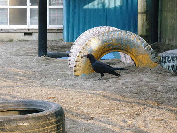 ���N���͎O���̓��I