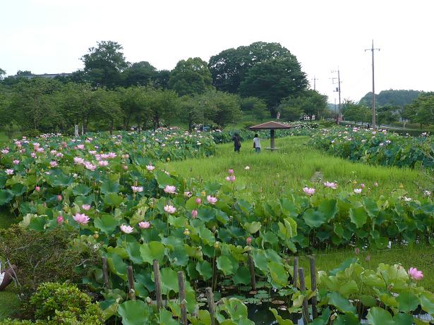 ���N���͎O���̓��I