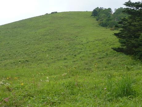 ���N���͎O���̓��I