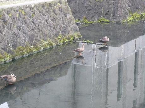 ���N���͎O���̓��I