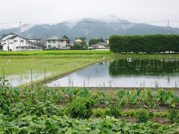 ���N���͎O���̓��I