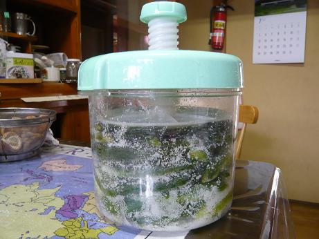 ���N���͎O���̓��I