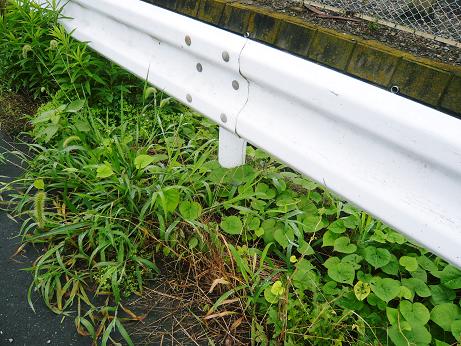 ���N���͎O���̓��I