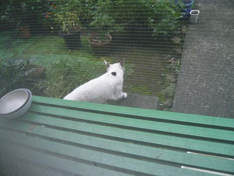 ���N���͎O���̓��I