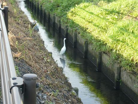 ���N���͎O���̓��I