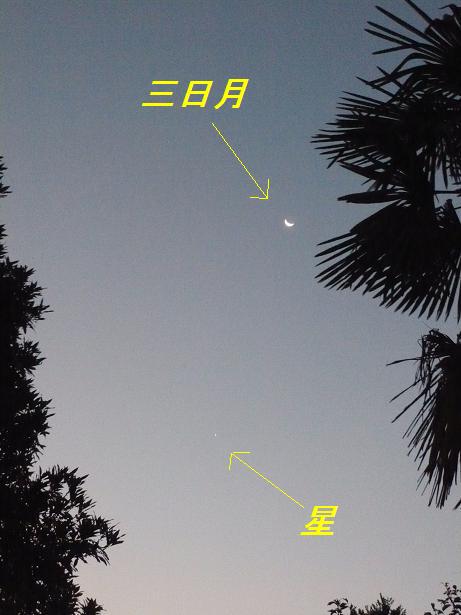 ���N���͎O���̓��I