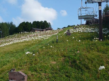 ���N���͎O���̓��I