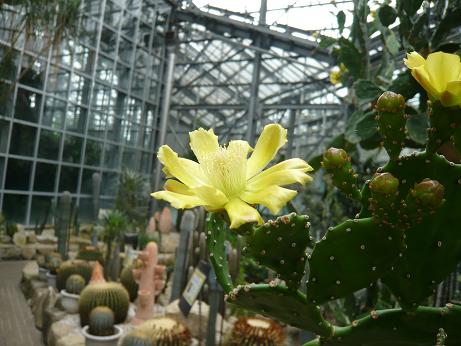 ���N���͎O���̓��I