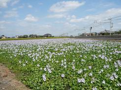 ���N���͎O���̓��I