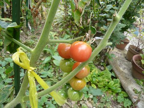 ���N���͎O���̓��I