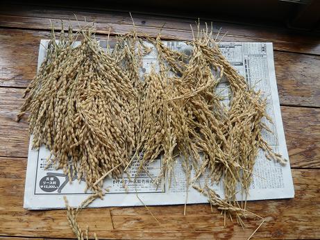 ���N���͎O���̓��I