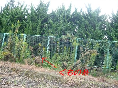 ���N���͎O���̓��I