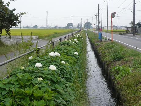 ���N���͎O���̓��I