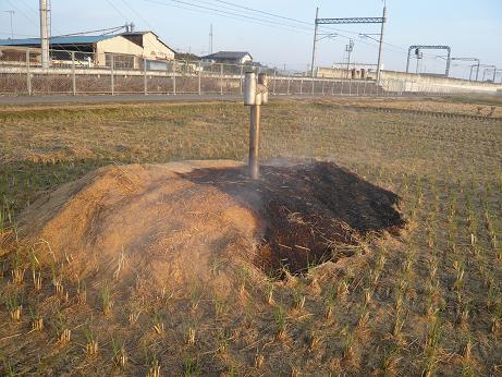 ���N���͎O���̓��I