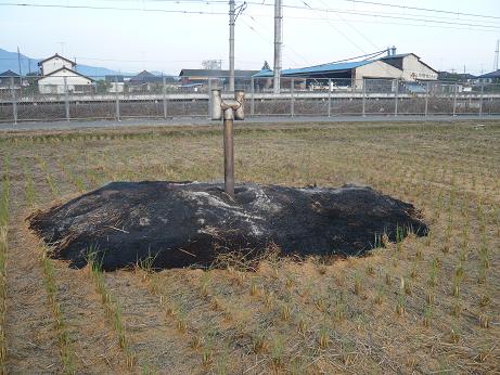 ���N���͎O���̓��I