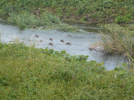 ���N���͎O���̓��I