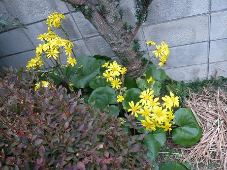 ���N���͎O���̓��I