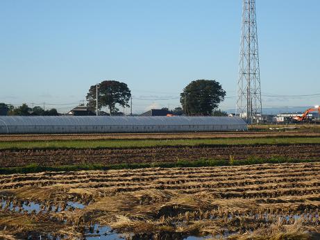 ���N���͎O���̓��I