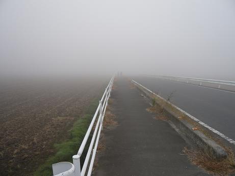 ���N���͎O���̓��I