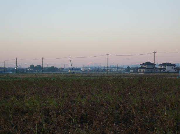 ���N���͎O���̓��I