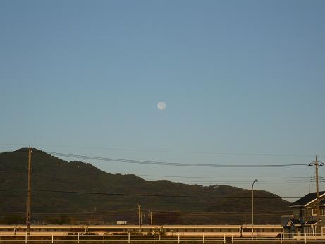 ���N���͎O���̓��I