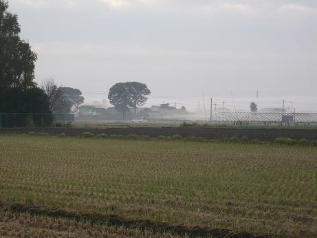 ���N���͎O���̓��I