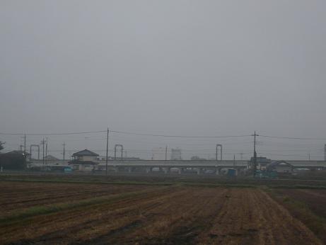 ���N���͎O���̓��I