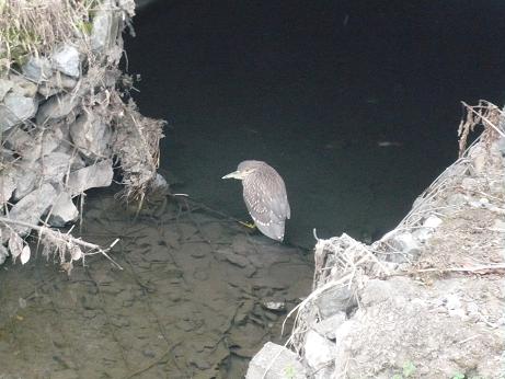 ���N���͎O���̓��I