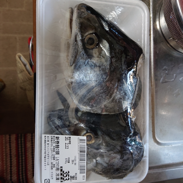 ���N���͎O���̓��I