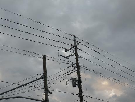 ���N���͎O���̓��I