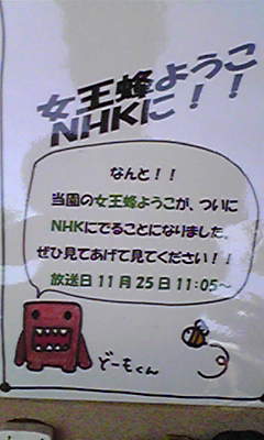 ���N���͎O���̓��I