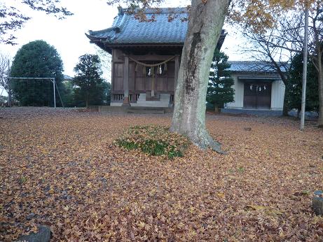 ���N���͎O���̓��I