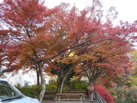 ���N���͎O���̓��I