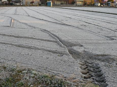 ���N���͎O���̓��I