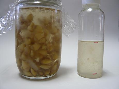 ���N���͎O���̓��I