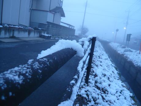 ���N���͎O���̓��I