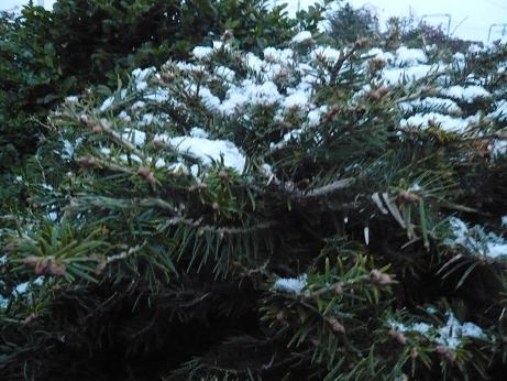 ���N���͎O���̓��I