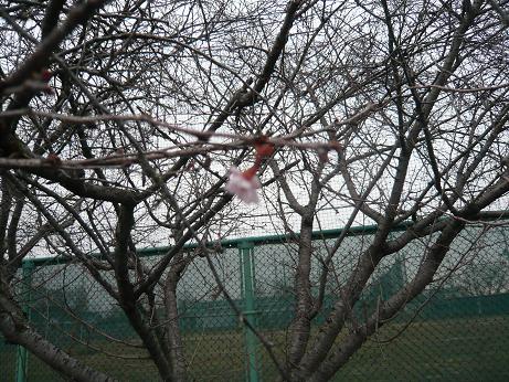 ���N���͎O���̓��I