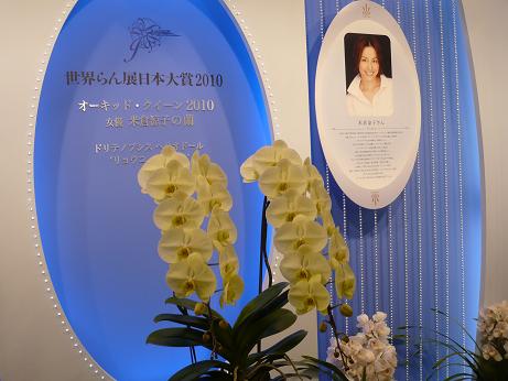 ���N���͎O���̓��I