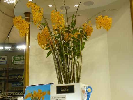 ���N���͎O���̓��I