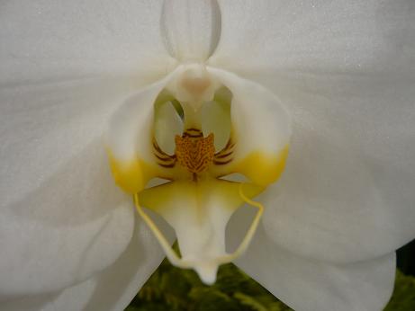 ���N���͎O���̓��I