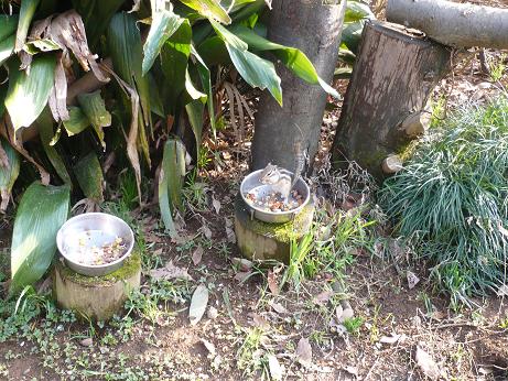 ���N���͎O���̓��I