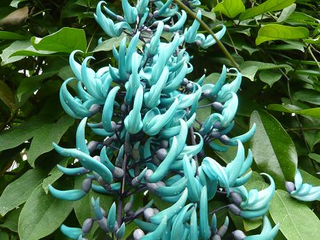 ���N���͎O���̓��I